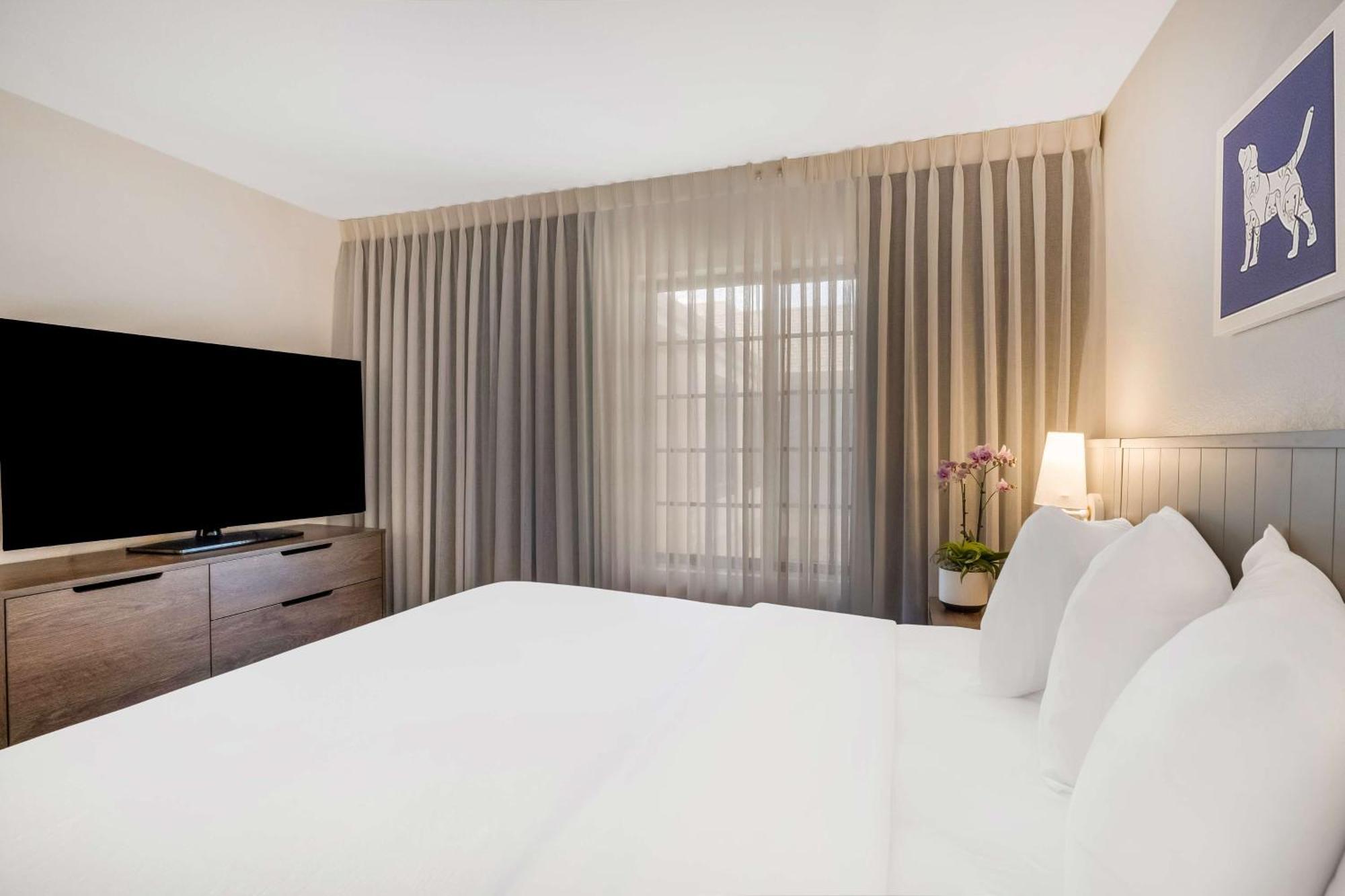 Sonesta Es Suites San Jose - Airport מראה חיצוני תמונה